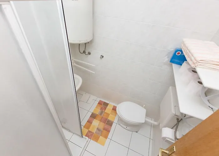 Bridic * Τρογκίρ